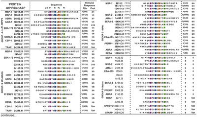 Frontiers | Specific β-Turns Precede PPIIL Structures Binding To Allele ...